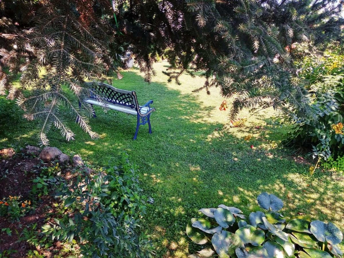 Villa Axiothea Nemea المظهر الخارجي الصورة